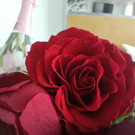 דירה Porto Novissimo 25 Estudio Cedofeita Ac Olive פורטו