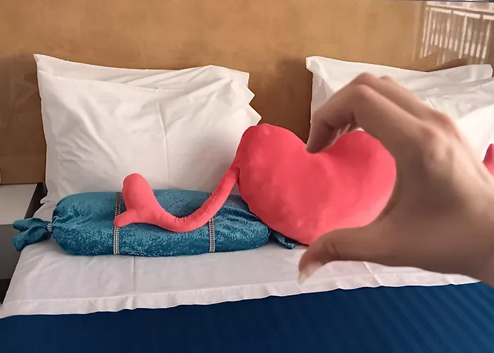 25 Porto Novíssímo Estudio em Cedofeita AC Olive *