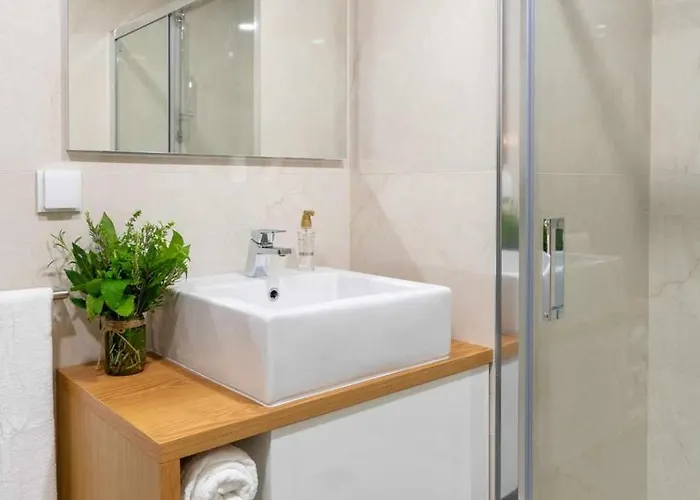 25 Novissimo Estudio Cedofeita Ac Olive * Porto