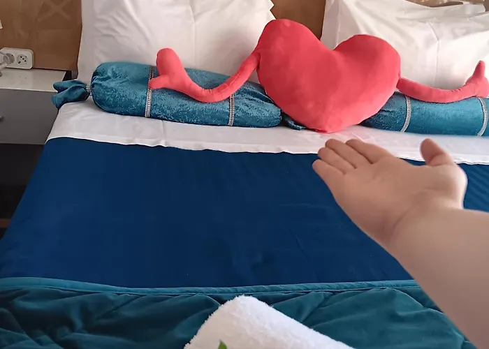 25 Novissimo Estudio Cedofeita Ac Olive Porto