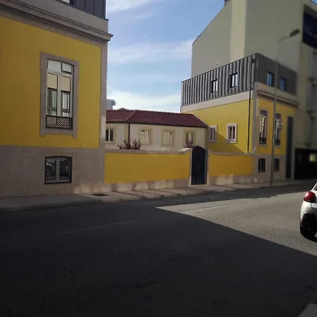 25 Novíssímo Estudio Cedofeita Ac Olive